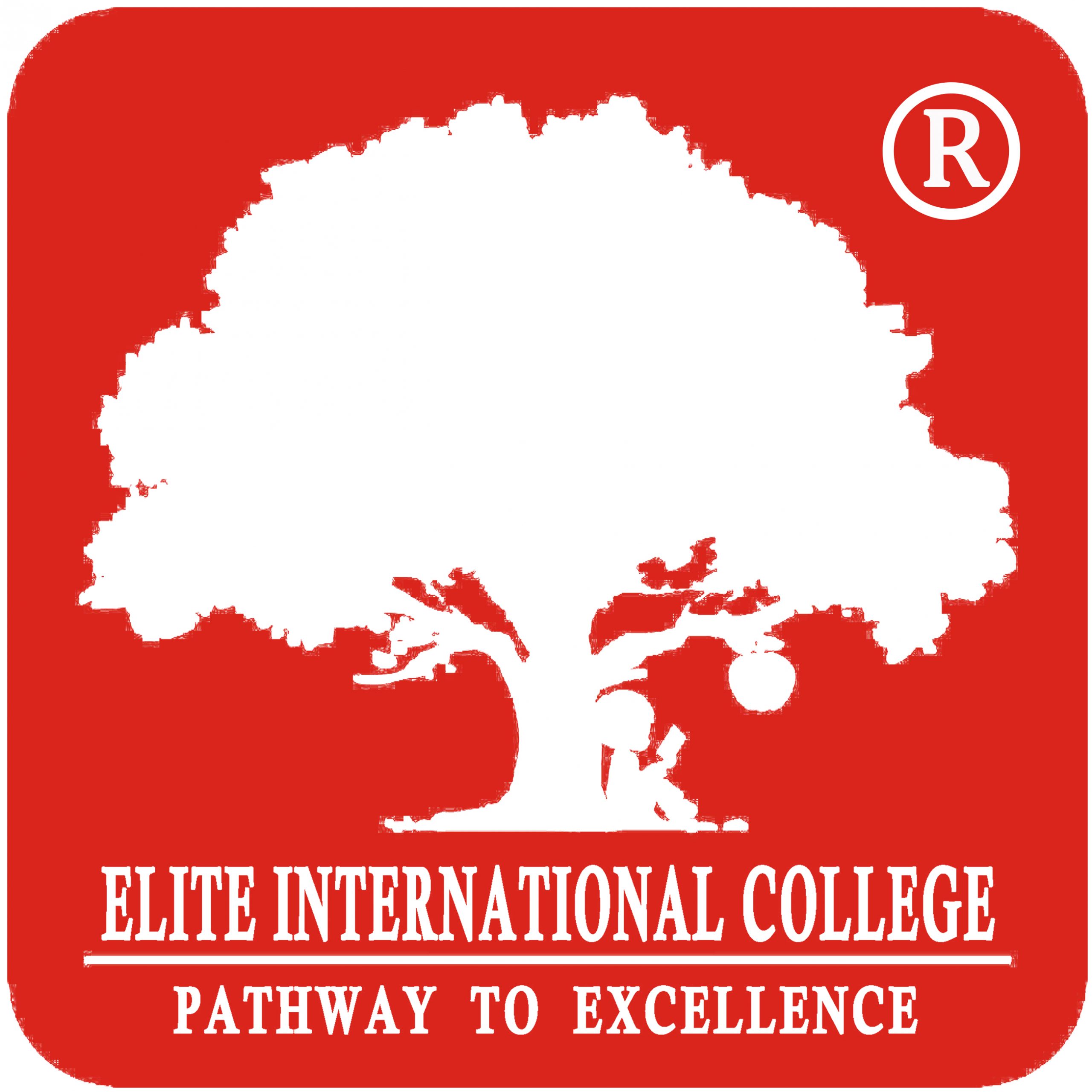 EIC Logo Elite International College Logo